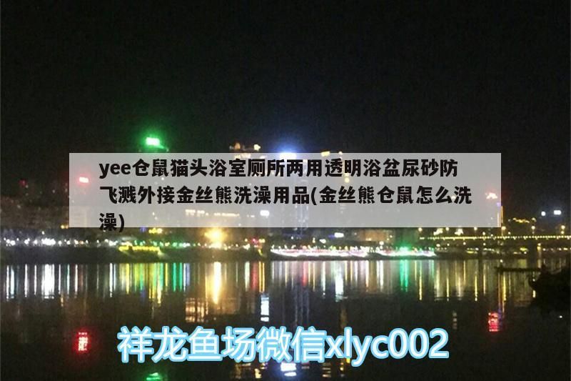 yee倉鼠貓頭浴室廁所兩用透明浴盆尿砂防飛濺外接金絲熊洗澡用品(金絲熊倉鼠怎么洗澡) yee倉鼠貓頭浴室廁所兩用透明浴盆尿砂防飛濺外接金絲熊洗澡用品(金絲熊倉鼠怎么洗澡) yee