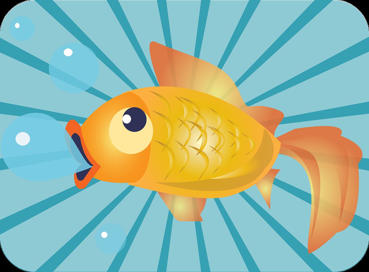 龍魚可以跟什么魚混養(龍魚跟什么魚混養比較好)