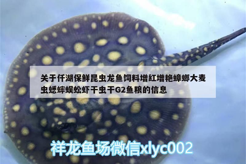 關于仟湖保鮮昆蟲龍魚飼料增紅增艷蟑螂大麥蟲蟋蟀蜈蚣蝦干蟲干G2魚糧的信息