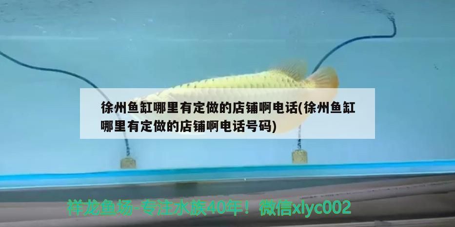 徐州魚缸哪里有定做的店鋪啊電話(徐州魚缸哪里有定做的店鋪啊電話號(hào)碼)