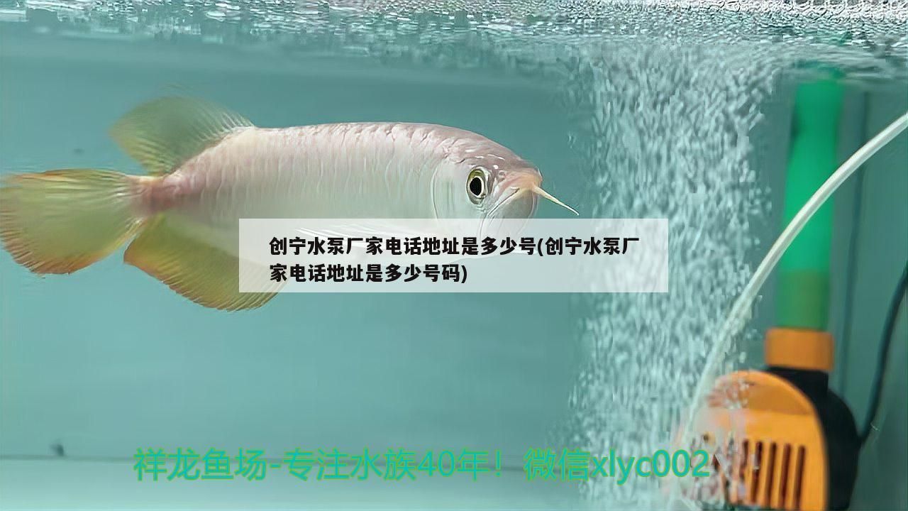 創(chuàng)寧水泵廠家電話地址是多少號(創(chuàng)寧水泵廠家電話地址是多少號碼)