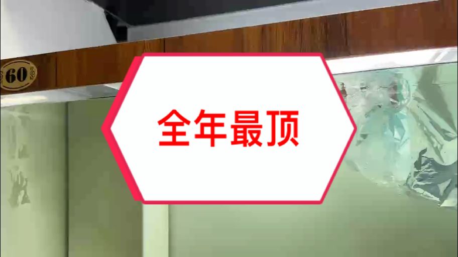萬隆天王紅龍～龍年收官之作！ 沒有最頂、只有更頂！ 今日分享8條個體，紅龍魚發(fā)燒友們，請告訴我哪條比較符合你的眼緣??#萬隆天王紅龍 #大湖魚 #龍魚