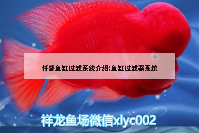 仟湖魚缸過(guò)濾系統(tǒng)介紹:魚缸過(guò)濾器系統(tǒng) 仟湖魚缸過(guò)濾系統(tǒng)介紹:魚缸過(guò)濾器系統(tǒng) 仟湖