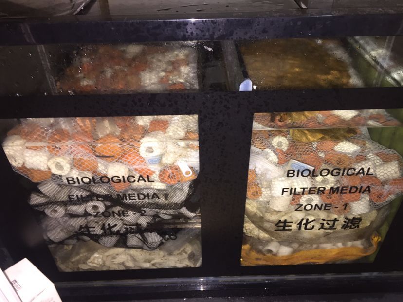 詳細(xì)閱讀:金龍魚(yú)玉石擺件( 金龍魚(yú)玉石擺件圖片大全) 金龍魚(yú)玉石擺件( 金龍魚(yú)玉石擺件圖片大全)