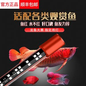 馬印觀賞燈plus放在哪個位置好:馬印觀賞燈plus放在哪個位置好馬印觀賞燈plus放在哪個位置好 馬印水族 第3張 馬印觀賞燈plus放在哪個位置好:馬印觀賞燈plus放在哪個位置好馬印觀賞燈plus放在哪個位置好 馬印觀賞燈plus放在哪個位置好:馬印觀賞燈plus放在哪個位置好馬印觀賞燈plus放在哪個位置好 馬印水族 第3張