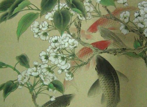 龍鳳鯉魚,龍鳳鯉魚的市場價格 魚缸百科 第4張 龍鳳鯉魚,龍鳳鯉魚的市場價格 龍鳳鯉魚,龍鳳鯉魚的市場價格 魚缸百科 第4張