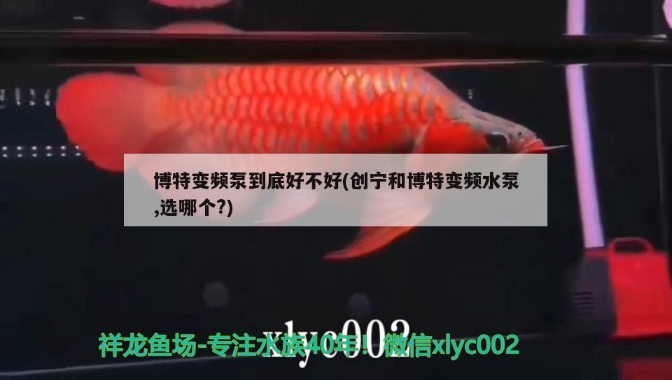 博特變頻泵到底好不好(創(chuàng)寧和博特變頻水泵,選哪個(gè)?)