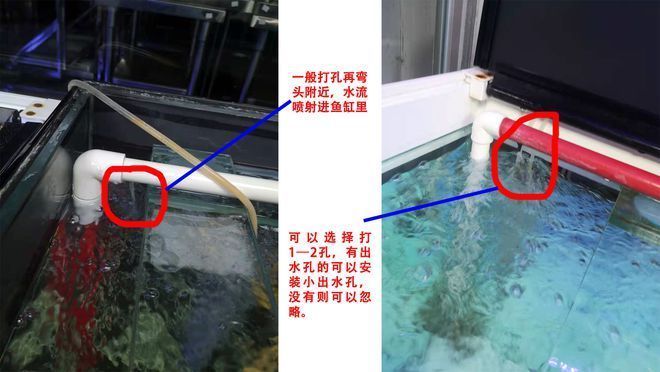 魚缸濾材可以直接放水里嗎視頻（魚缸濾材可以直接放水里嗎視頻講解）