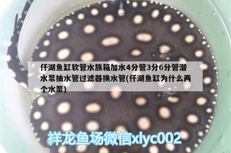 仟湖魚缸軟管水族箱加水4分管3分6分管潛水泵抽水管過濾器換水管(仟湖魚缸為什么兩個水泵)