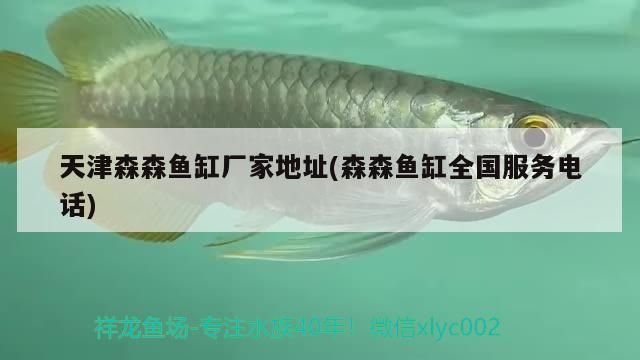 天津森森魚缸廠家地址(森森魚缸全國服務電話)