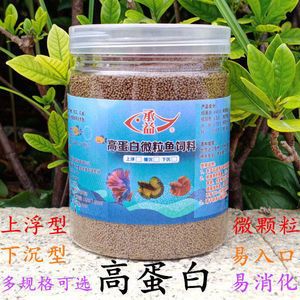 龍魚眼睛上有白點怎么治療：龍魚眼睛白點病的治療與防治全攻略