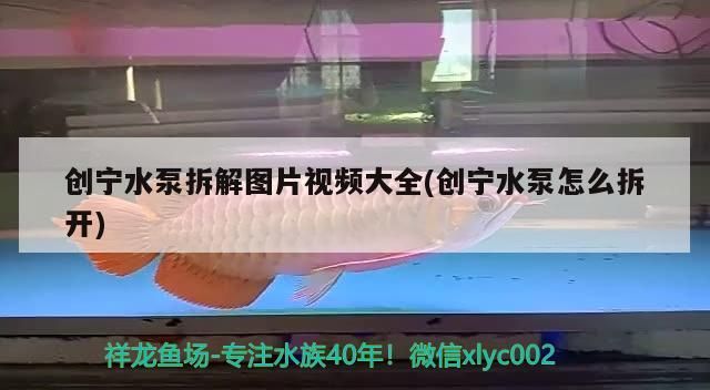 魚缸過濾器選購指南:自制魚缸過濾器魚缸上置過濾器對于養魚愛好者的必備知識 創寧水泵拆解圖片視頻大全(創寧水泵怎么拆開) 創寧水族 創寧水泵拆解圖片視頻大全(創寧水泵怎么拆開) 創寧水泵拆解圖片視頻大全(創寧水泵怎么拆開) 創寧水族
