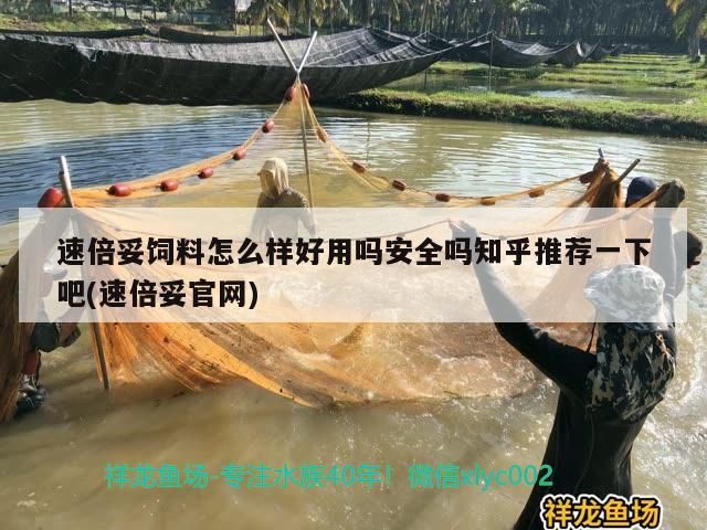 速倍妥飼料怎么樣好用嗎安全嗎知乎推薦一下吧(速倍妥官網)