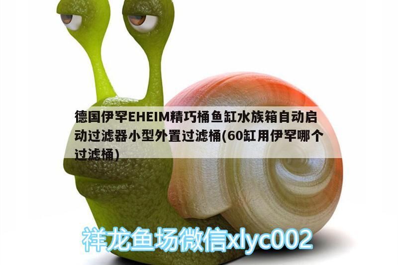 德國伊罕EHEIM精巧桶魚缸水族箱自動啟動過濾器小型外置過濾桶(60缸用伊罕哪個過濾桶) 德國伊罕EHEIM精巧桶魚缸水族箱自動啟動過濾器小型外置過濾桶(60缸用伊罕哪個過濾桶) 伊罕水族