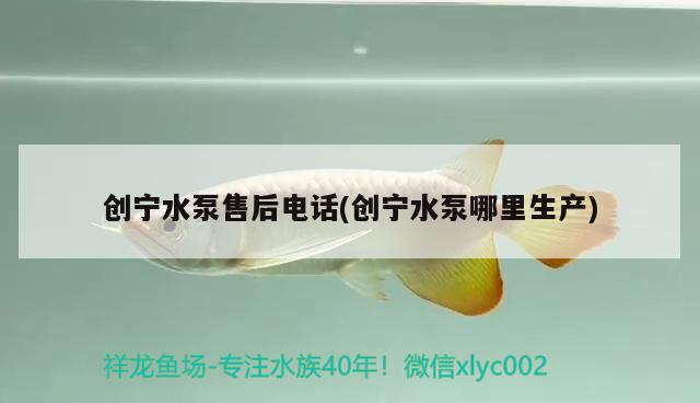 創寧水泵售后電話(創寧水泵哪里生產) 創寧水泵售后電話(創寧水泵哪里生產) 創寧水族 第1張