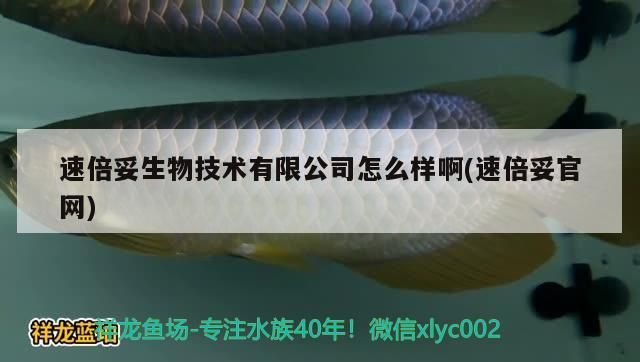 速倍妥生物技術有限公司怎么樣啊(速倍妥官網) 速倍妥生物技術有限公司怎么樣啊(速倍妥官網) 速倍妥