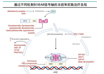 龍魚為什么總是張嘴呼吸：龍魚頻張嘴，探秘水下精靈的無聲密語
