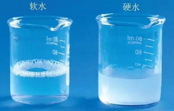 龍魚為什么這么便宜呢：龍魚價格親民背后，市場供需與養殖變革的深度剖析