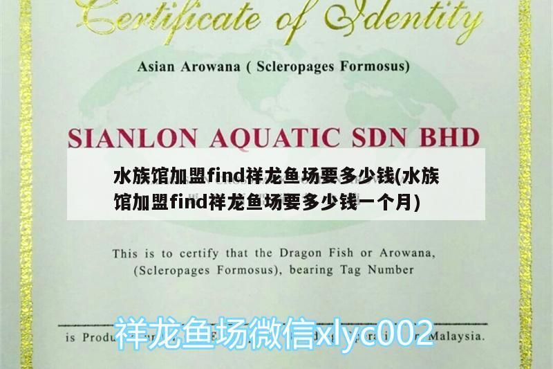 水族館加盟find祥龍魚場(chǎng)要多少錢(水族館加盟find祥龍魚場(chǎng)要多少錢一個(gè)月) 水族館加盟find祥龍魚場(chǎng)要多少錢(水族館加盟find祥龍魚場(chǎng)要多少錢一個(gè)月) vs祥龍魚場(chǎng)