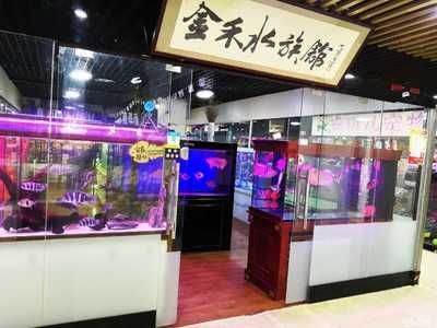 觀賞魚寄養(yǎng)多少錢（觀賞魚寄養(yǎng)費(fèi)用怎么算？）