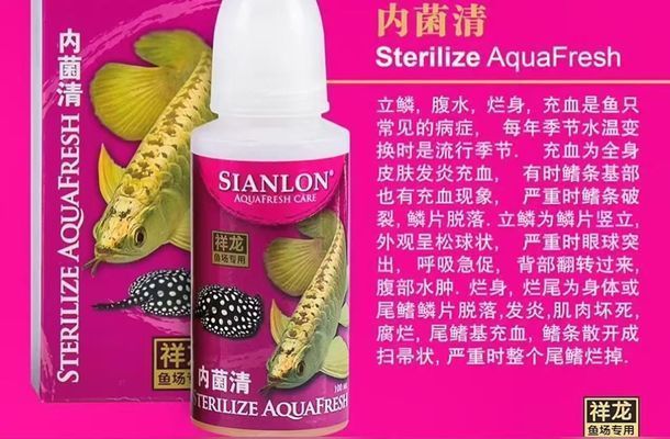 龍魚得了外寄怎么治療vs祥龍魚場：龍魚外寄生蟲用什么藥治療龍魚外寄生蟲用什么藥治療 龍魚得了外寄怎么治療vs祥龍魚場：龍魚外寄生蟲用什么藥治療龍魚外寄生蟲用什么藥治療 vs祥龍魚場 第8張
