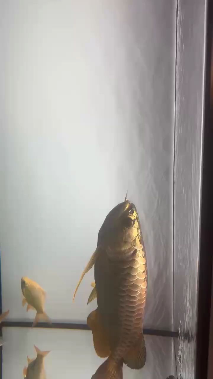 狀態還是差點