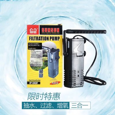 純種金龍魚魚苗多少錢一條啊（純種金龍魚魚苗多少錢一條啊圖片）