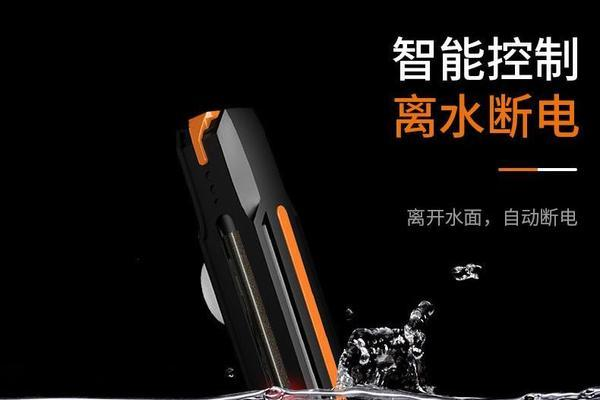 龍魚體型哪種好看些圖片：龍魚之魅，探尋體型之美的多元風(fēng)姿