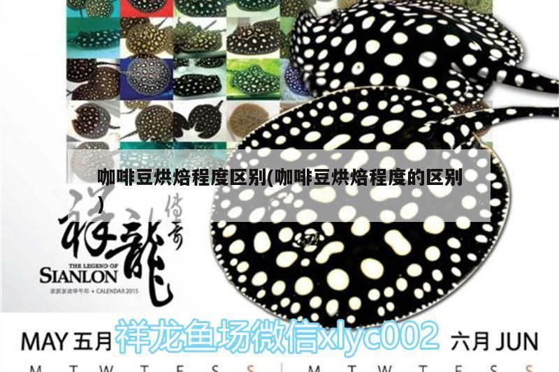 咖啡豆烘焙程度區別(咖啡豆烘焙程度的區別)