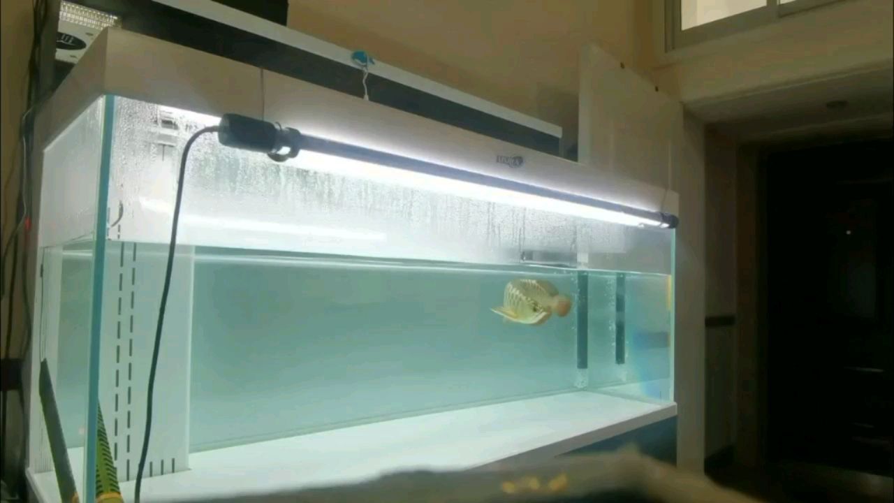 方城縣永青魚缸店