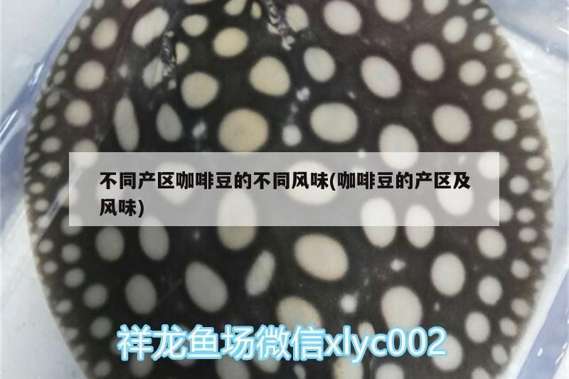 不同產(chǎn)區(qū)咖啡豆的不同風(fēng)味(咖啡豆的產(chǎn)區(qū)及風(fēng)味)