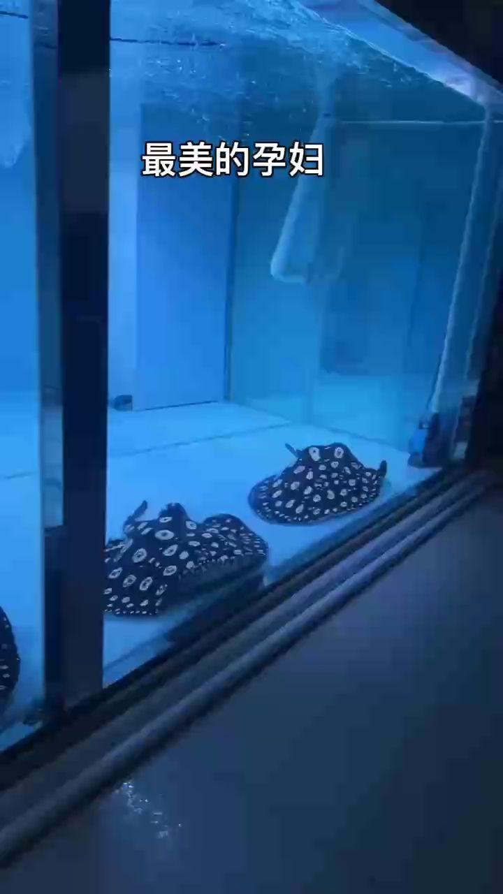 #加油哦