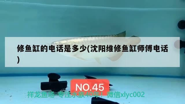 底濾魚缸濾材怎么更換(魚缸底濾濾材安裝) 底濾魚缸濾材怎么更換(魚缸底濾濾材安裝) 觀賞魚百科