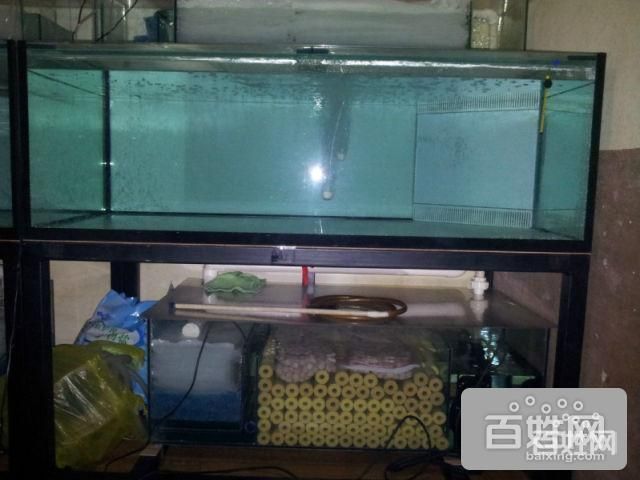 魟魚繁殖魚缸多寬：魟魚繁殖魚缸寬度