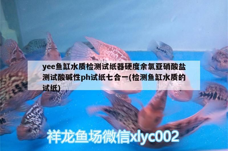 yee魚缸水質檢測試紙器硬度余氯亞硝酸鹽測試酸堿性ph試紙七合一(檢測魚缸水質的試紙) yee魚缸水質檢測試紙器硬度余氯亞硝酸鹽測試酸堿性ph試紙七合一(檢測魚缸水質的試紙) yee