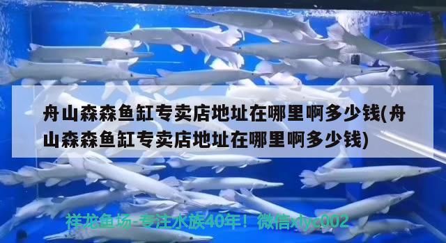 舟山森森魚缸專賣店地址在哪里啊多少錢(舟山森森魚缸專賣店地址在哪里啊多少錢)