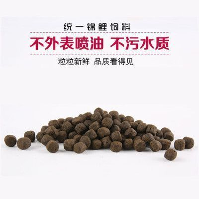 龍魚水缸太臟怎么辦呢：龍魚水缸太臟？別慌，這幾招讓水族世界重歸清澈