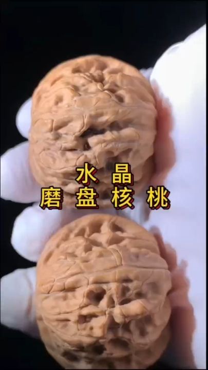 水晶磨盤核 水晶磨盤核 龍魚論壇