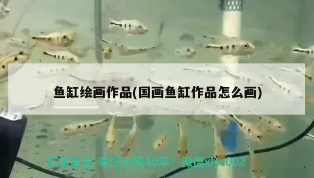 泰安魚缸定制電話多少？，泰安魚缸定制電話多少和泰安魚缸定制電話多少號對應的信息 泰安魚缸定制電話多少？，泰安魚缸定制電話多少和泰安魚缸定制電話多少號對應的信息 九鼎魚缸 第2張