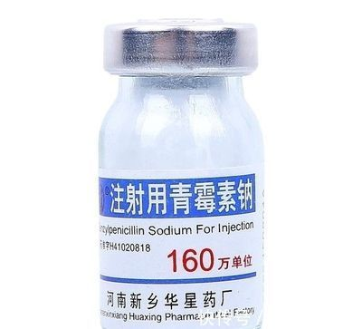 紅金龍魚視頻高清在線觀看免費(紅金龍魚視頻高清在線觀看免費播放) 一方水族 第1張 紅金龍魚視頻高清在線觀看免費(紅金龍魚視頻高清在線觀看免費播放) 紅金龍魚視頻高清在線觀看免費(紅金龍魚視頻高清在線觀看免費播放) 一方水族 第1張