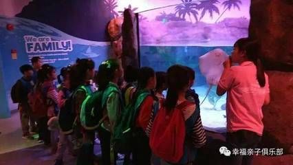 水族館的視頻：關于水族館視頻的網址 水族館的視頻：關于水族館視頻的網址 水族館百科（水族館加盟） 第1張
