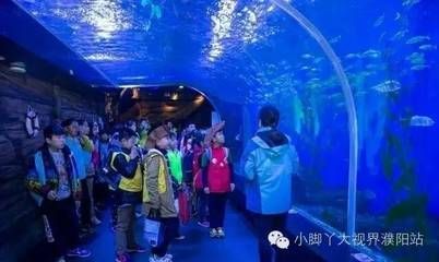 水族館的視頻：關于水族館視頻的網址 水族館的視頻：關于水族館視頻的網址 水族館百科（水族館加盟） 第3張