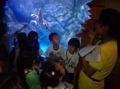水族館的視頻：關于水族館視頻的網址 水族館的視頻：關于水族館視頻的網址 水族館百科（水族館加盟） 第4張