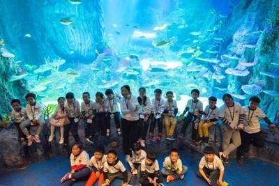 水族館的視頻：關于水族館視頻的網址 水族館的視頻：關于水族館視頻的網址 水族館百科（水族館加盟） 第5張