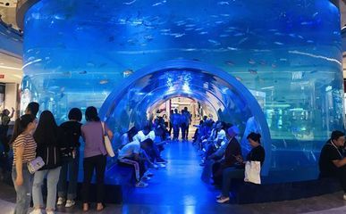 水族館適合開到哪里：水族館的開設地點應考慮多種因素包括目標受眾、地理位置 水族館適合開到哪里：水族館的開設地點應考慮多種因素包括目標受眾、地理位置 水族館百科（水族館加盟） 第1張