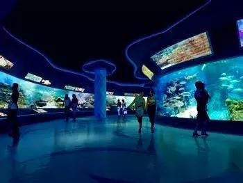 水族館適合開到哪里：水族館的開設地點應考慮多種因素包括目標受眾、地理位置 水族館適合開到哪里：水族館的開設地點應考慮多種因素包括目標受眾、地理位置 水族館百科（水族館加盟） 第2張