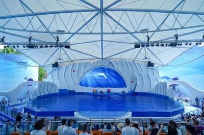 水族館適合開到哪里：水族館的開設地點應考慮多種因素包括目標受眾、地理位置 水族館適合開到哪里：水族館的開設地點應考慮多種因素包括目標受眾、地理位置 水族館百科（水族館加盟） 第5張