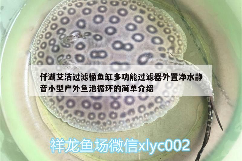 仟湖艾潔過濾桶魚缸多功能過濾器外置凈水靜音小型戶外魚池循環的簡單介紹