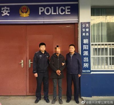 龍魚適合的水溫是多少度的呢：探秘龍魚適宜水溫，守護水中貴族的生存密碼