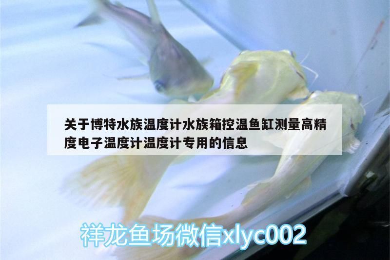 關(guān)于博特水族溫度計(jì)水族箱控溫魚缸測量高精度電子溫度計(jì)溫度計(jì)專用的信息